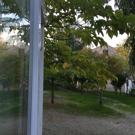 Camping Les Orangers San-Martino-di-Lota Habitación foto